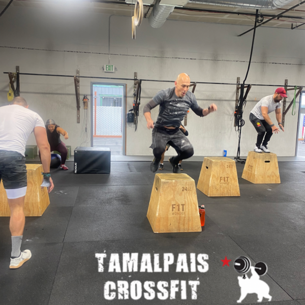 Tamalpais CrossFit WOD January 23 2024 - Tamalpais Crossfit